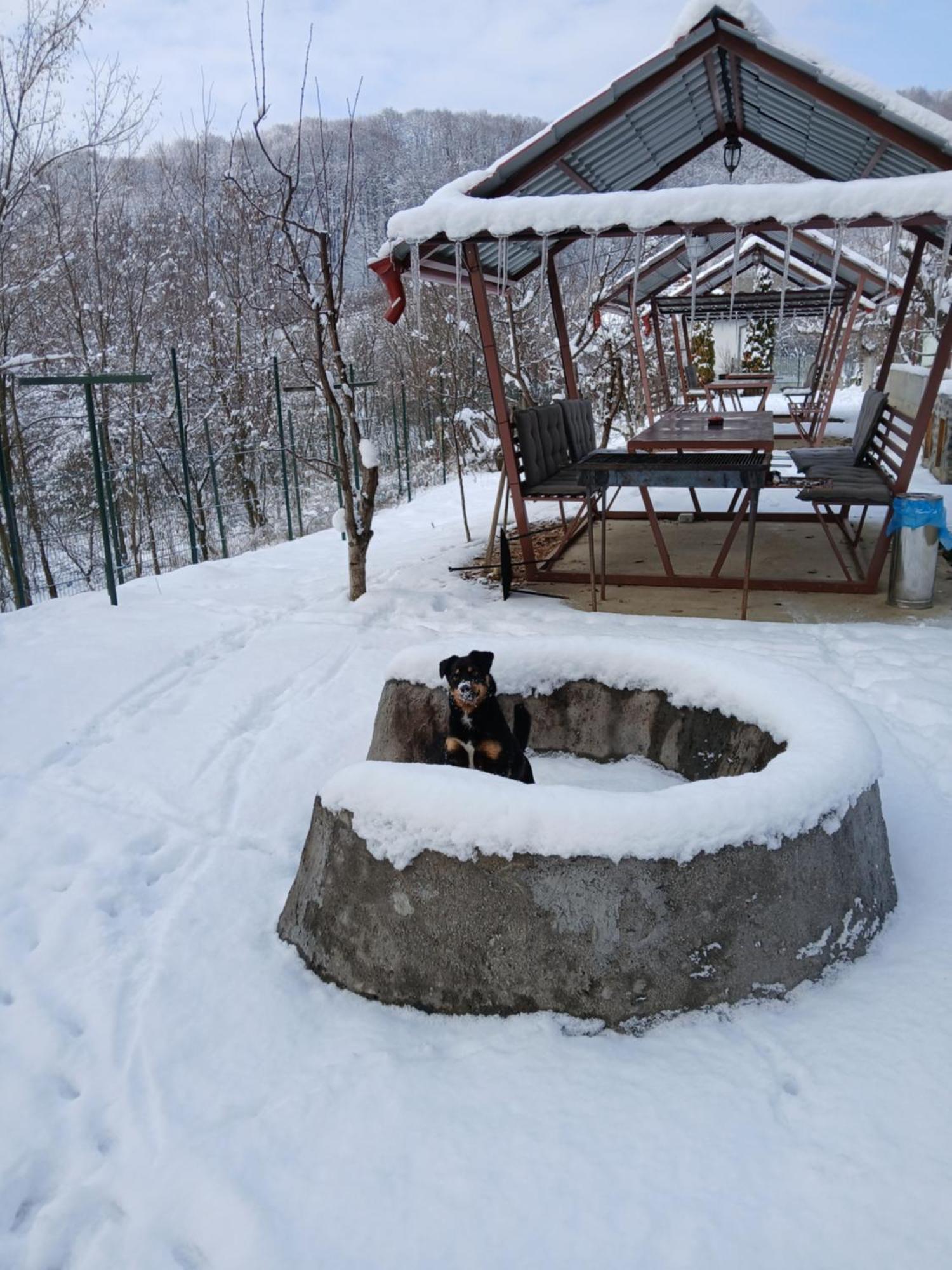 Perla Argesului, Ciubar, Piscina, Lift, Gratar, Cabana, Pensiuni, Hotel Cazare Transfagarasan Curtea De Arges Albestii de Arges Luaran gambar